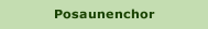 Posaunenchor